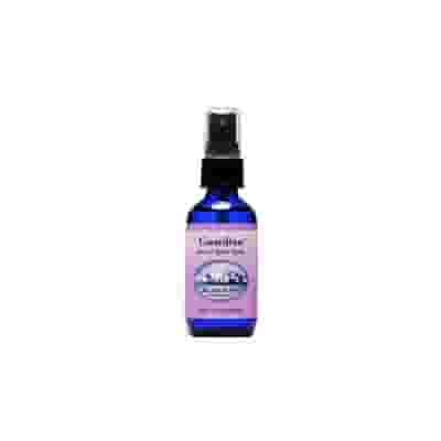 GUARDIAN SPRAY 60 ML 1 PEZZO