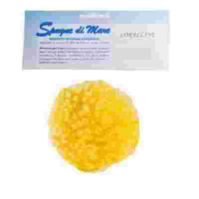 SPUGNA MARE NATURALE LARGE
