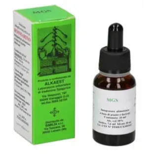 MGS8 GINEPRO MACERATO GLICERICO SPG 20 ML