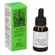 MGS8 GINEPRO MACERATO GLICERICO SPG 20 ML