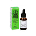 MGS13 PINO MACERATO GLICERICO SPG 20 ML