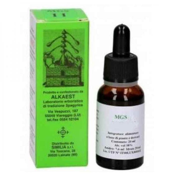 Mgs19 Salice Macerato Glicerico Spg 20 Ml