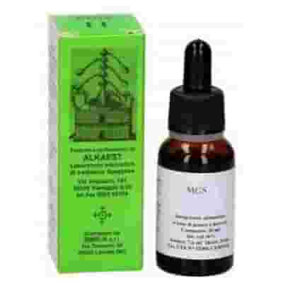 MGS19 SALICE MACERATO GLICERICO SPG 20 ML