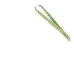 PINZETTA PROF MORSO GRAN COLOR
