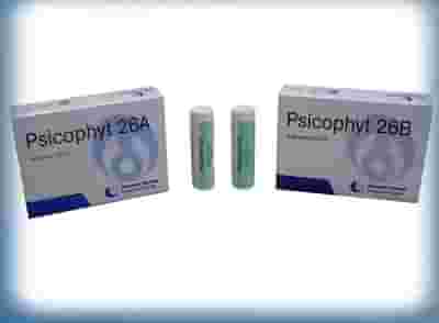 PSICOPHYT REMEDY 26B 4 TUBI 1,2 G