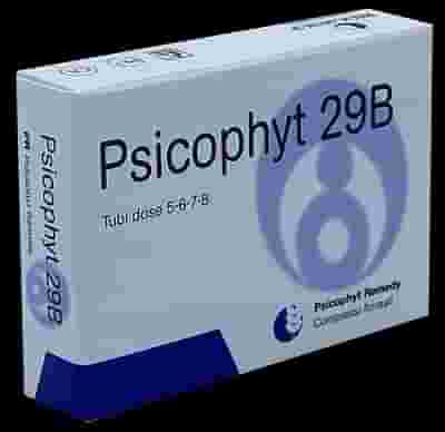 PSICOPHYT REMEDY 29B 4 TUBI 1,2 G