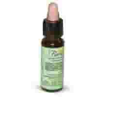 FLORIT 23 OLIVE/OLIVO GOCCE 10 ML