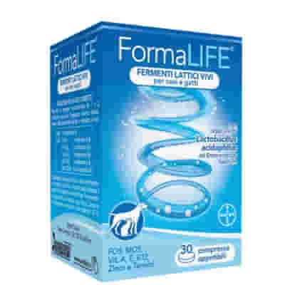 ENTERONORM +FERMENTI LATTICI 20 CAPSULE