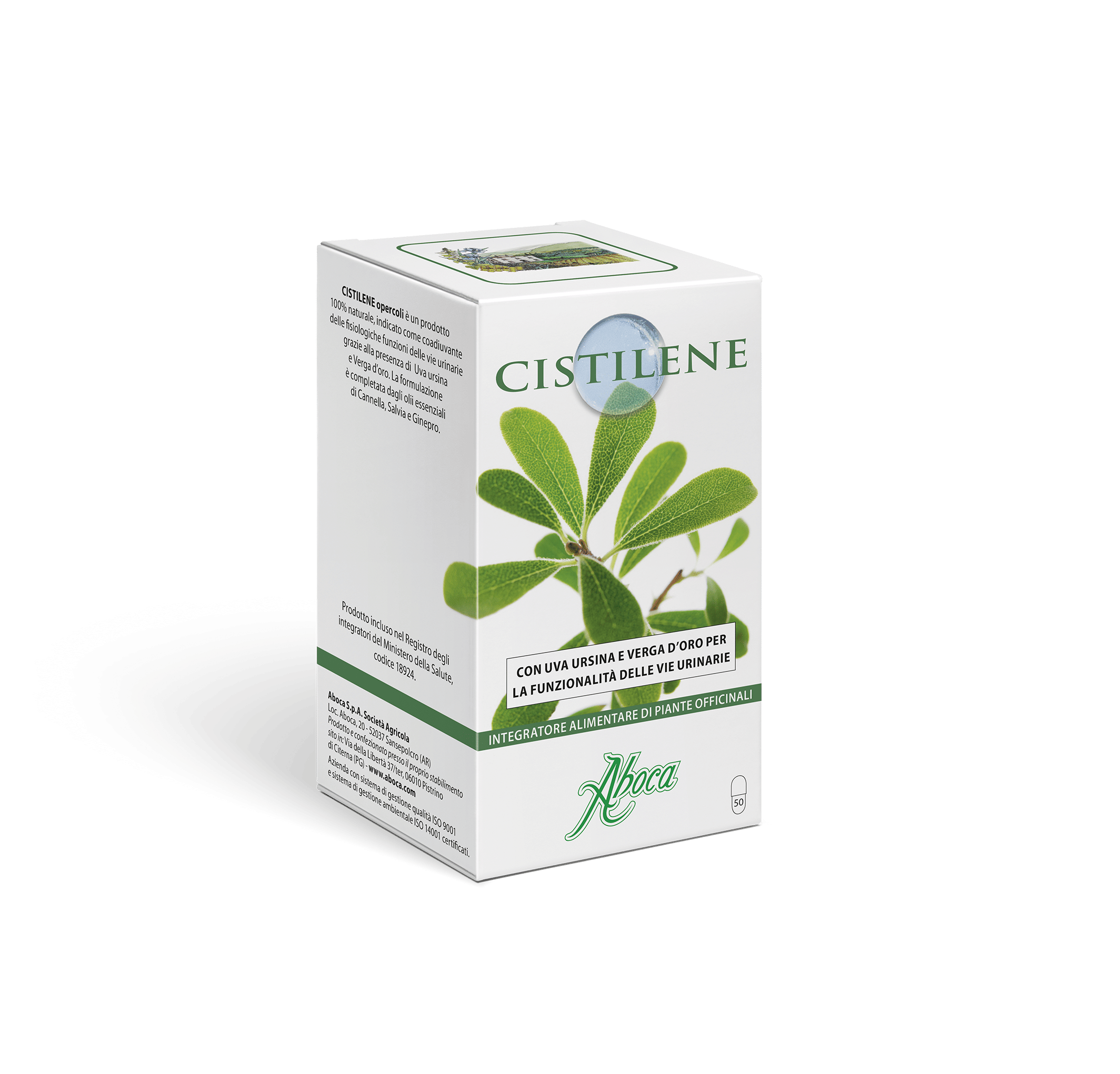 Cistilene integratore vie urinarie con uva ursina, 50 opercoli