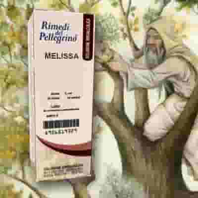 RIMEDI DEL PELLEGRINO SOLUZIONE IDROALCOLICA MELISSA 50 ML