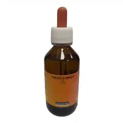 FICUS CARICA SOLUZIONE GLAL 100 ML