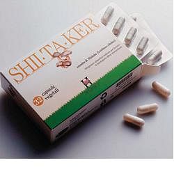 Shiitaker Holistica 32 Capsule