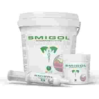 SMIGOL POLVERE 1 KG