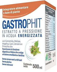 Gastrophit Macerato 500 Ml