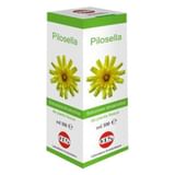 PILOSELLA SOLUZIONE IDROALCOLICA PIANTA FRESCA 100 ML