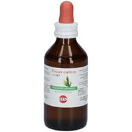 FICUS CARICA MACERATO GLICERICO 100 ML