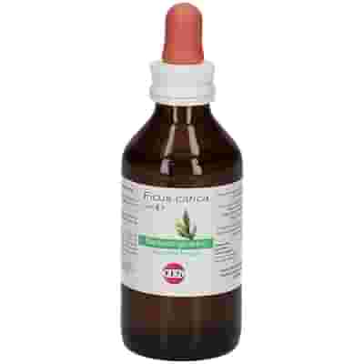 FICUS CARICA MACERATO GLICERICO 100 ML