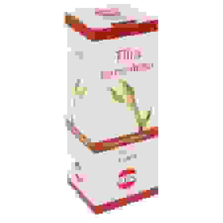 TILIA TOMENTOSA MG 100 ML GOCCE