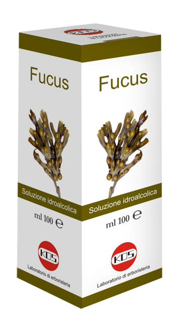 FUCUS SOLUZIONE IDROALCOLICA 100 ML