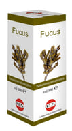FUCUS SOLUZIONE IDROALCOLICA 100 ML