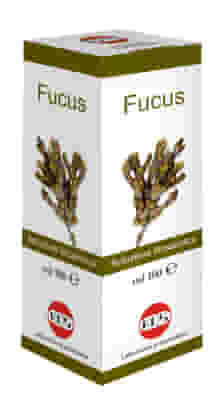 FUCUS SOLUZIONE IDROALCOLICA 100 ML