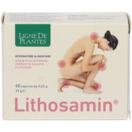 LITHOSAMIN 60 CAPSULE