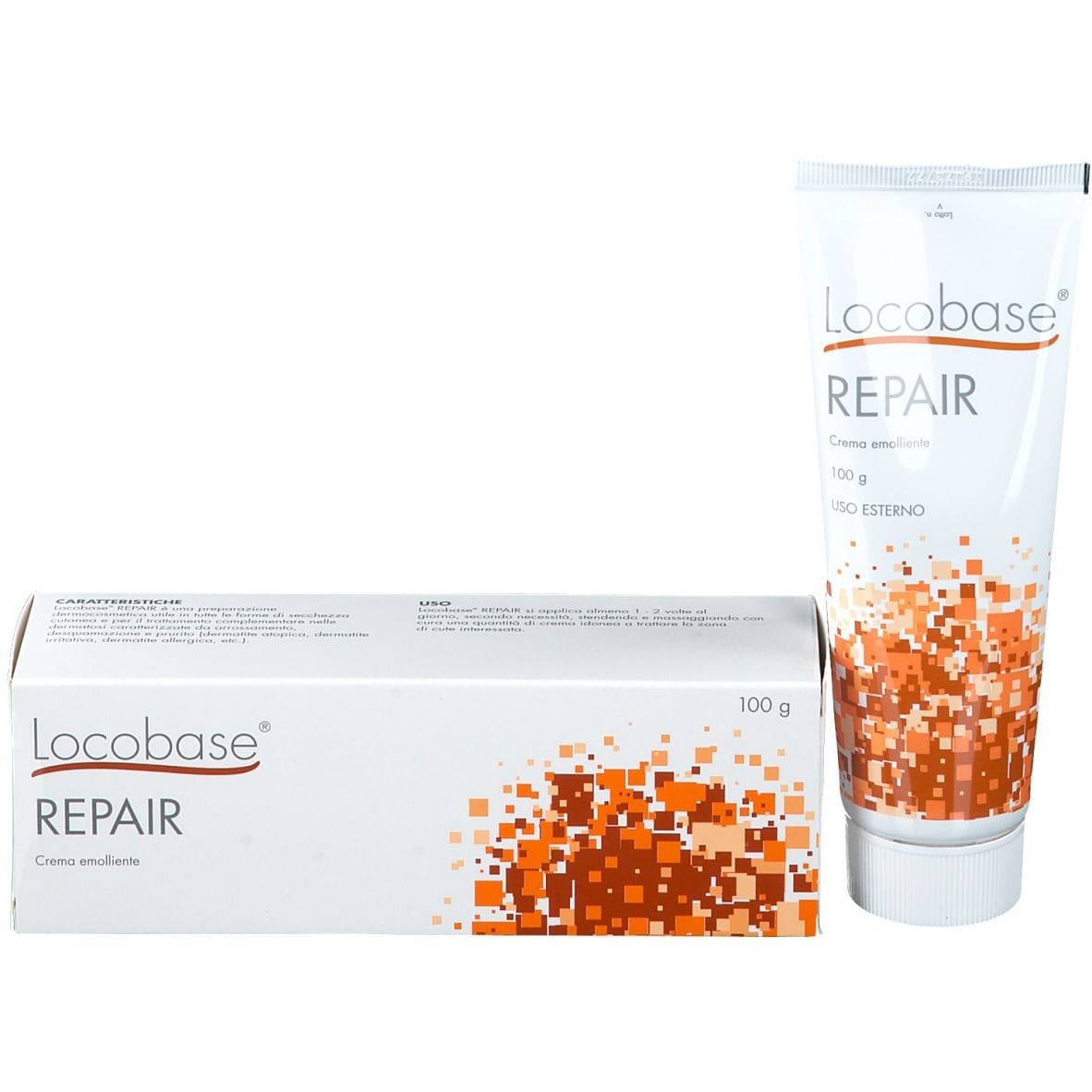 LOCOBASE REPAIR 100 G