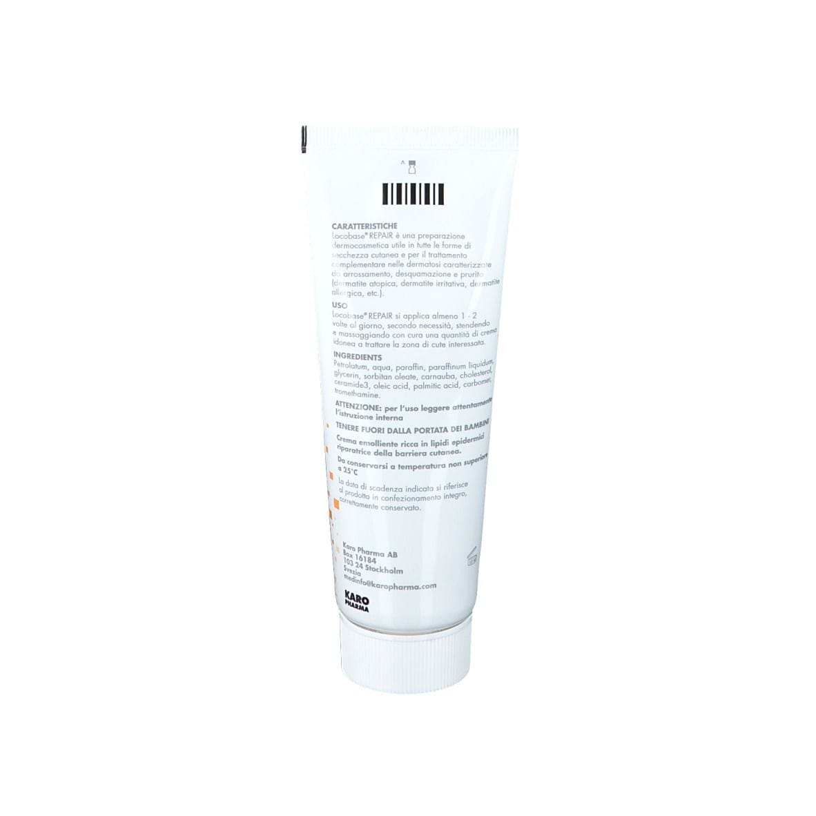 LOCOBASE REPAIR 100 G