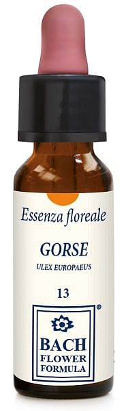 Gorse Original Gocce 10 Ml