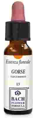 GORSE ORIGINAL GOCCE 10 ML