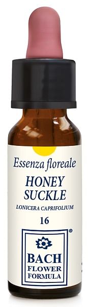 Honeysuckle Original Gocce 10 Ml