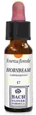 HORNBEAM ORIGINAL GOCCE 10 ML