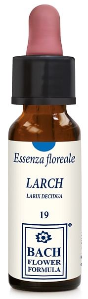 Larch Original Gocce 10 Ml