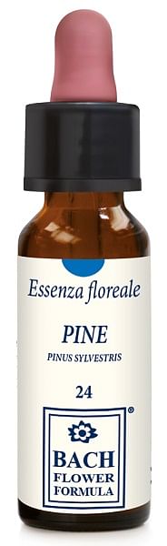 Pine Original Gocce 10 Ml