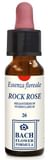 ROCK ROSE ORIGINAL GOCCE 10 ML