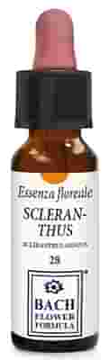 SCLERANTHUS ORIGINAL GOCCE 10 ML