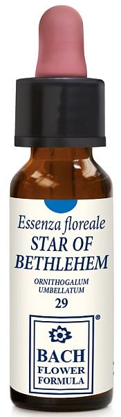 Star Of Bethlehem 10 Ml Gocce