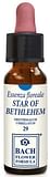 STAR OF BETHLEHEM 10 ML GOCCE
