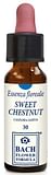 SWEET CHESTNUT ORIGINAL 10 ML