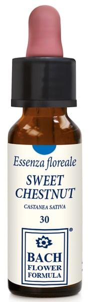 Sweet Chestnut Original 10 Ml