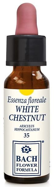 White Chestnut Original 10 Ml