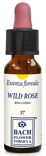 Wild Rose Original Gocce 10 Ml