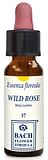 WILD ROSE ORIGINAL GOCCE 10 ML