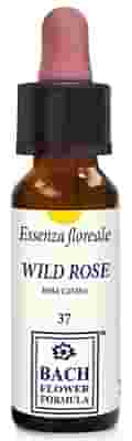 WILD ROSE ORIGINAL GOCCE 10 ML