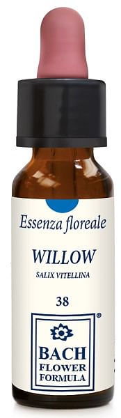 Willow Original Gocce 10 Ml