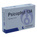 PSICOPHYT REMEDY 13A 4 TUBI 1,2 G