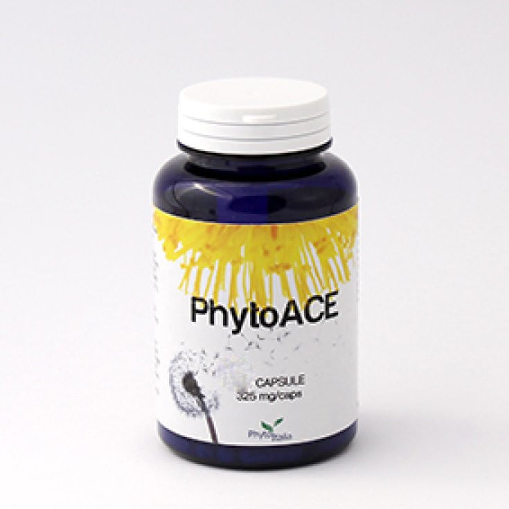 PHYTOACE 60 CAPSULE