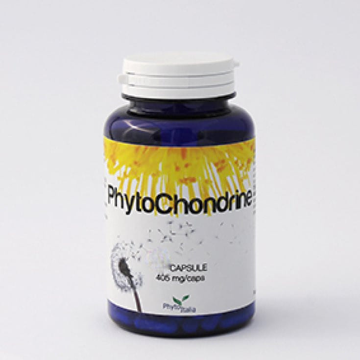 PHYTOCHONDRINE 60 CAPSULE