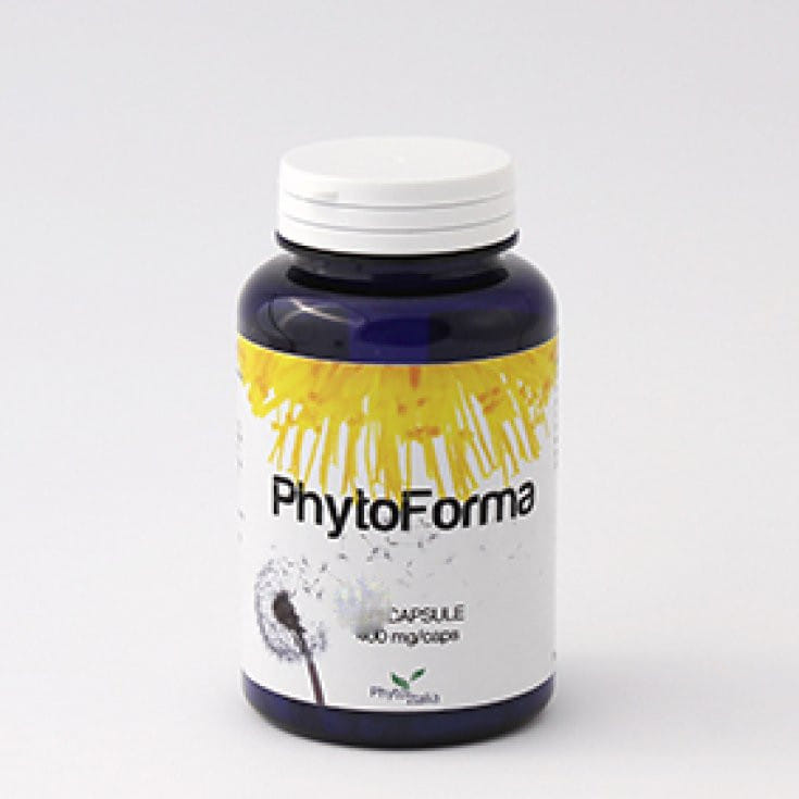 PHYTOFORMA 60 CAPSULE