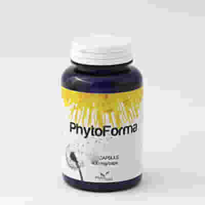 PHYTOFORMA 60 CAPSULE